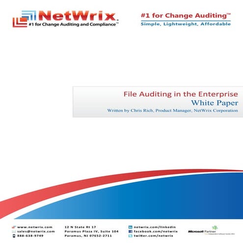 File Auditing in the Enterprise