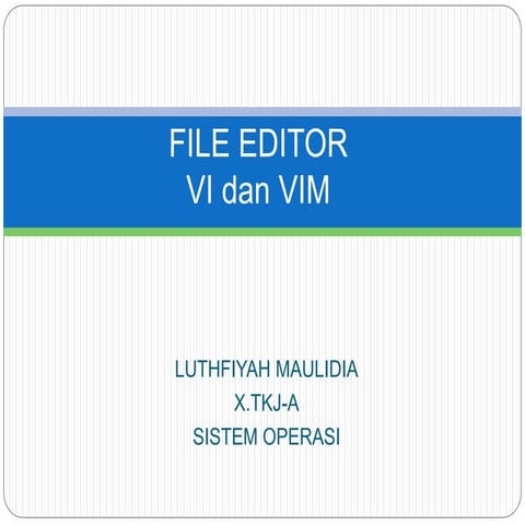 File editor VIM
