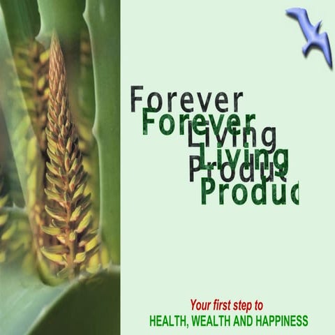 Forever Living Products