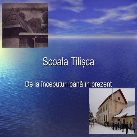 Proiect Istorie | PPTX