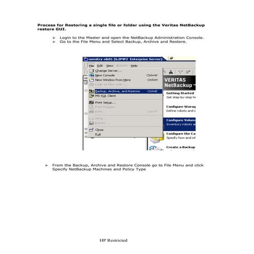 File system restore netbackup | PDF