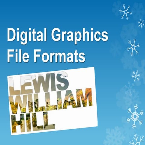 Lewis Hill File types pro forma(1)