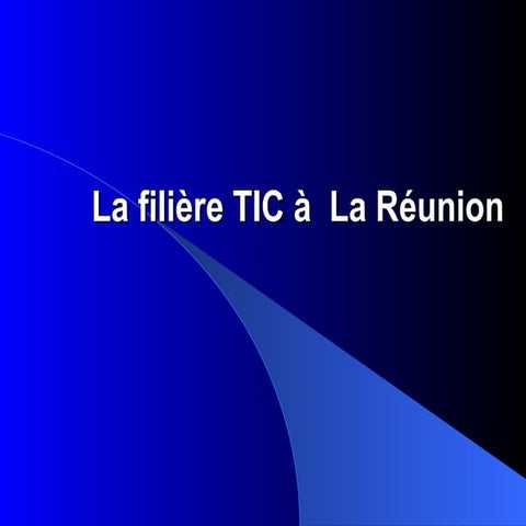 Filiere tic reunion 2005 - Source Region Réunion