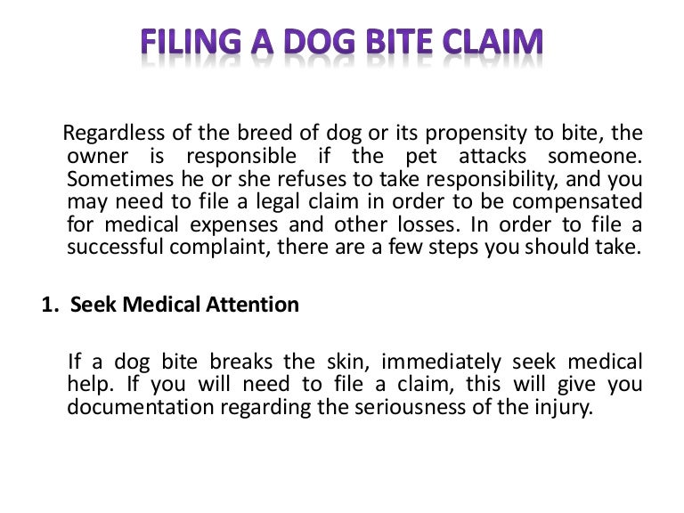 Filing a Dog Bite Claim