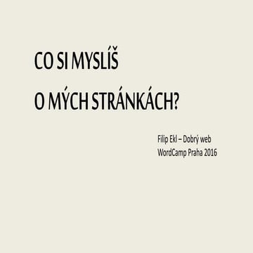 Filip Ekl: Uživatelské testování stránek z pohledu použitelnosti (Wordcamp Pr...