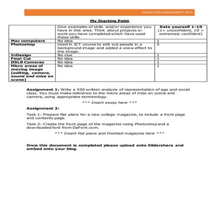 Filled out skills audit