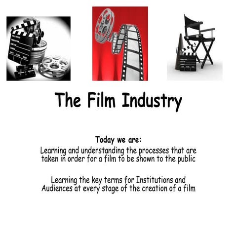 Film institutions and audiences 
