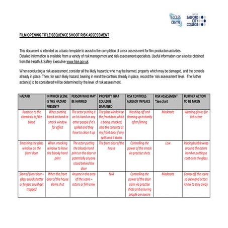 Risk assessment | DOCX
