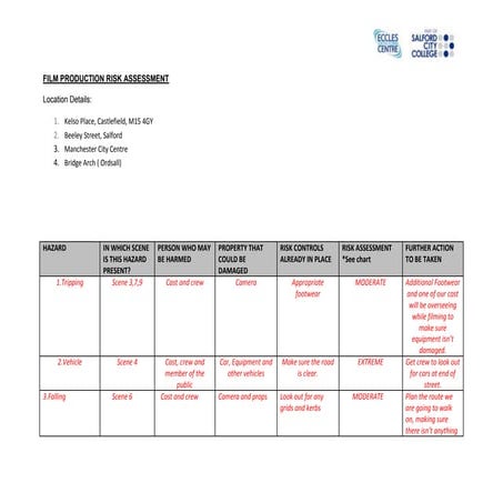 Risk assessment template Reporter three | DOC