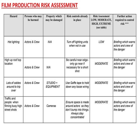 Film Production Risk Assessment
