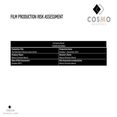 Film production risk assessment