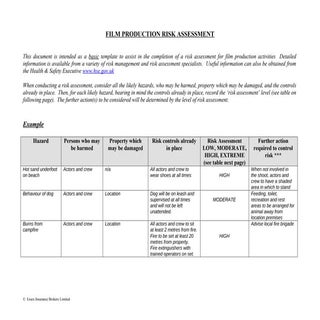 Film production risk assessment form