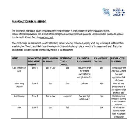 Film production risk assessment form | DOC