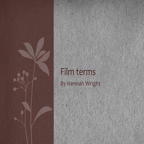 Film terms 