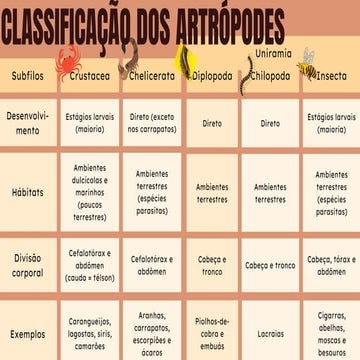 Filo Artrópodes classificação