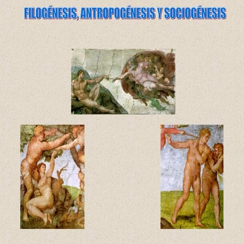 Filogenesis, AntropogéNesis