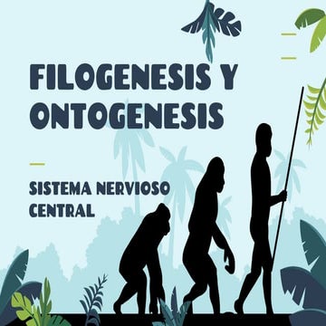 FILOGENESIS CLASE 4.pptx