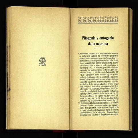 Filogenia 2