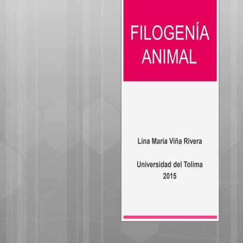 Filogenia animal
