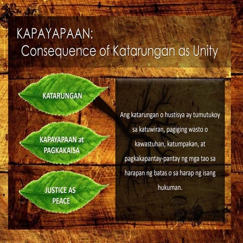    KAPAYAPAAN: Consequence of Katarungan as Unity
