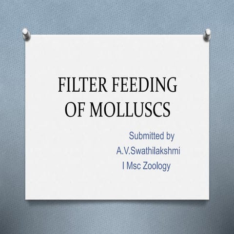 Filter feeding of molluscs