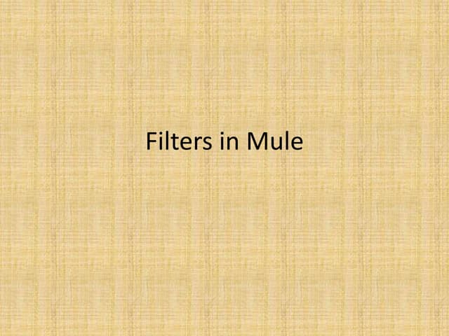 Filters in mule