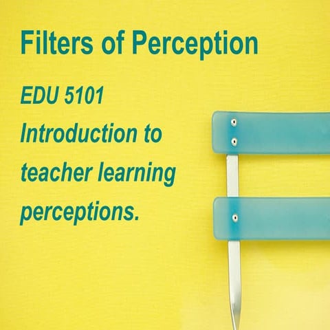 Filters Of Perception Introduction