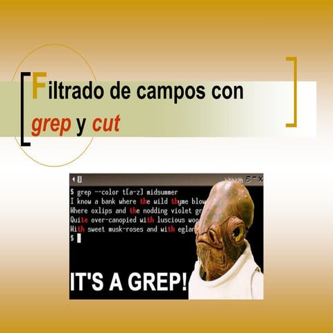 Filtrado con grep y cut