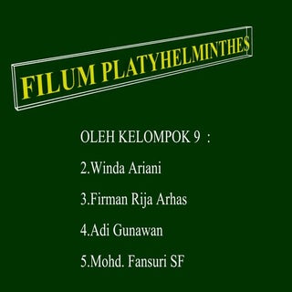 Filum platyhelminthes