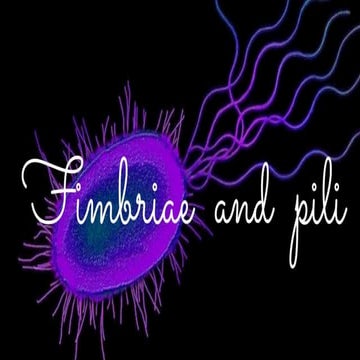 Fimbriae and pili