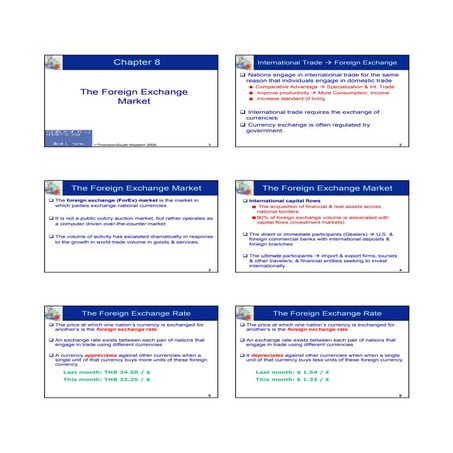 the foreign exchange market (continue)