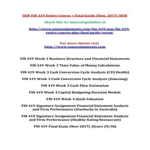 FIN 419 Entire Course NEW