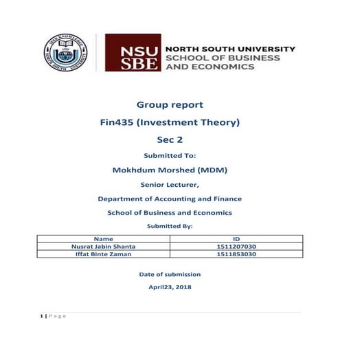 Fin435.final 1report