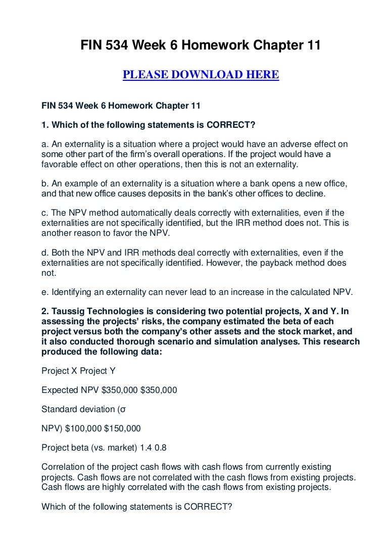 Fin chapter 11 homework essay example 06 image
