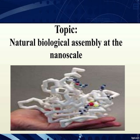 Natural Biological assembly at nanoscale slides
