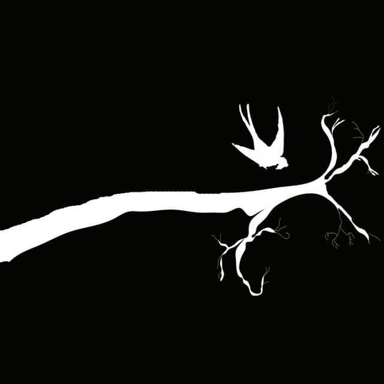 Interior Design Portfolio