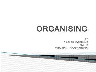 organising - principles of management