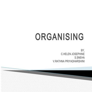 organising - principles of management