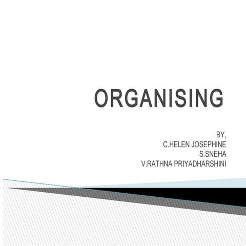 organising - principles of management