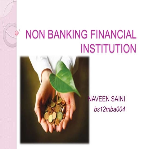 non banking financial institution