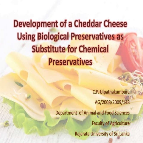 Development of a Cheddar Cheese Using Biological Preservatives as Substitute ...