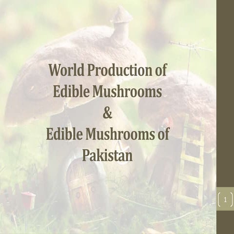 world production of edible mushrooms and edible mushrooms of pakistan