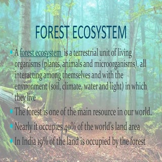 forest ecosystem 