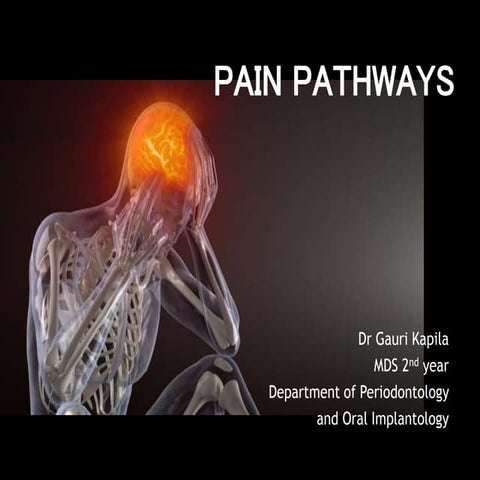 Pain pathways