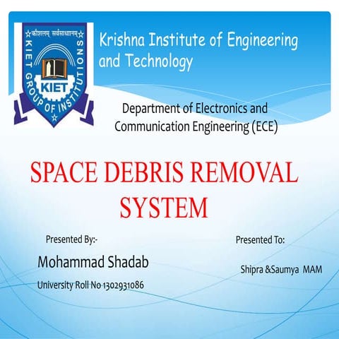 Space Debris Removal System