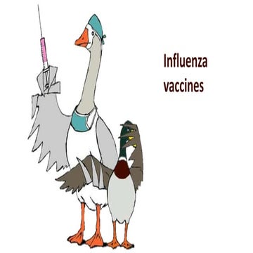 Flu Vaccine
