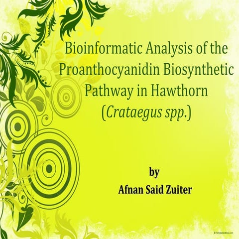 Bioinformatic analysis of the Proanthocyanidin Biosynthetic Pathway in Hawthorn (Crataegus spp.)