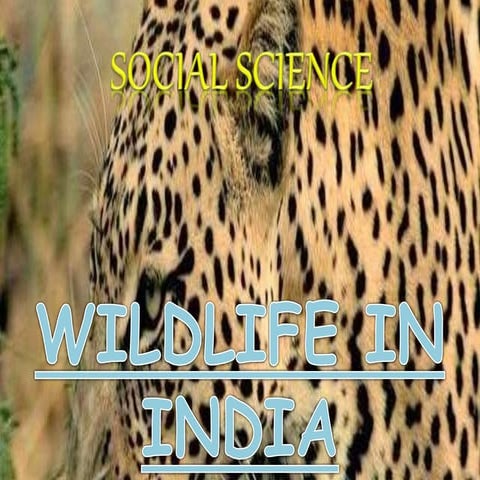 wildlife in india (national parks and wildlife centauries)