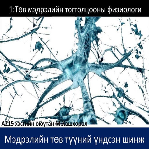 сэрэмтгий эсийн физиологи
