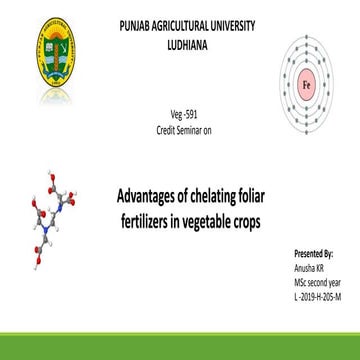 Advantages of chelating foliar fertilizers in vegetable crops